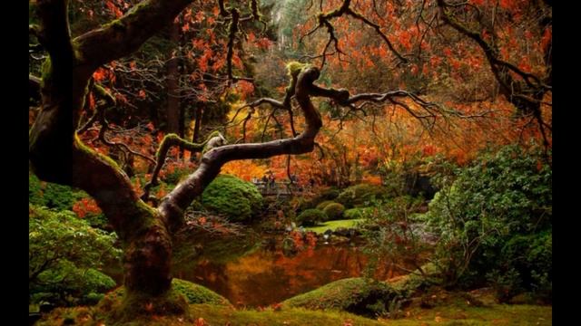 Медитация "Встреча с внутренним ребенком" смотреть онлайн