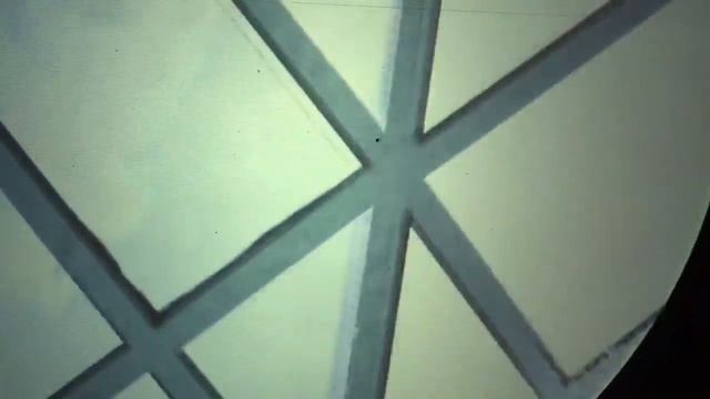 Музей естествознания Берлин смотреть онлайн