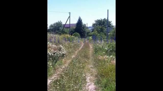 Участок в ДНТ Орловка смотреть онлайн