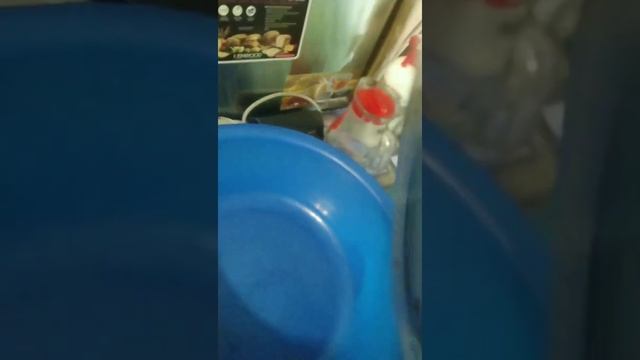 чистка парового утюга от накипи смотреть онлайн