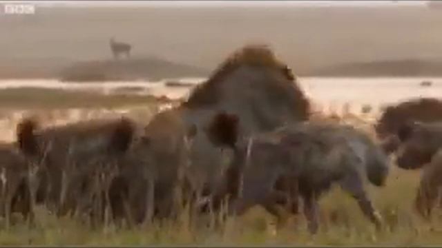 Когда мы вместе,  нас не победить