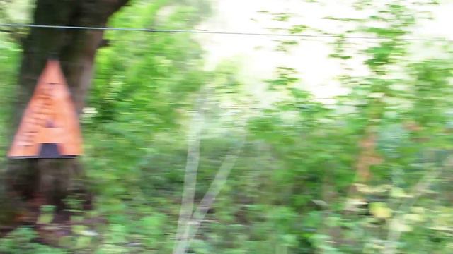 Авантюра Осень 2017 смотреть онлайн