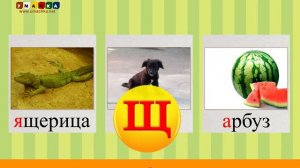Алфавит Учимся Читать с Кругляшиком Буквы и Звуки - Буква Щ