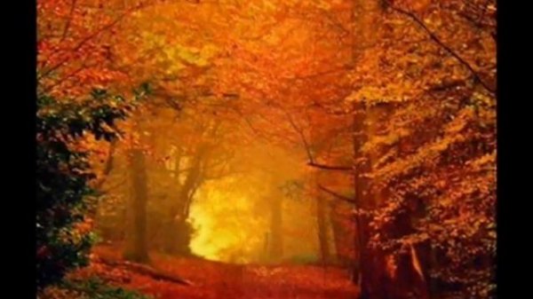 To sam ja TEREZA - live