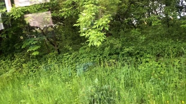 От остановки«Метро Кантемировская» до остановки«Улица Бехтерева» на автобусе 818 // 28 мая 2022 год смотреть онлайн