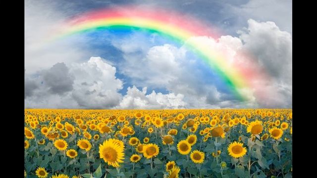 Веселая музыка смотреть онлайн