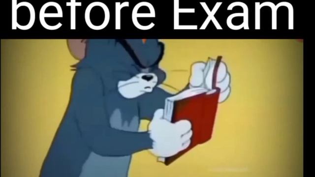 During After exam & before exam react tom & jerry cartoons смотреть онлайн