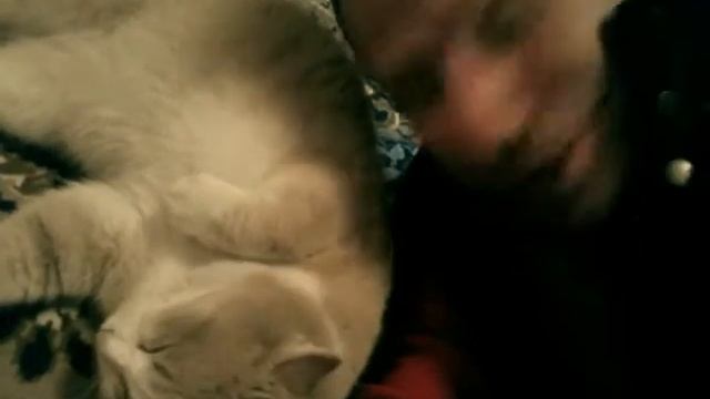 стих про рыжего смотреть онлайн