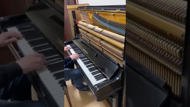 Piano C.Bechstein Model: Concert 8 смотреть онлайн