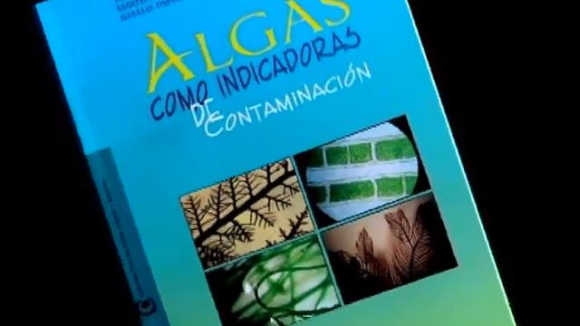 ALGAS COMO INDICADORAS DE CONTAMINACIÓN - Entrevista ENRIQUE PEÑA смотреть онлайн