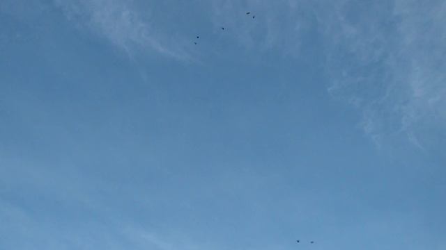 ПРОДАМ ВСЕ ЧТО ЛЕТАЕТ смотреть онлайн