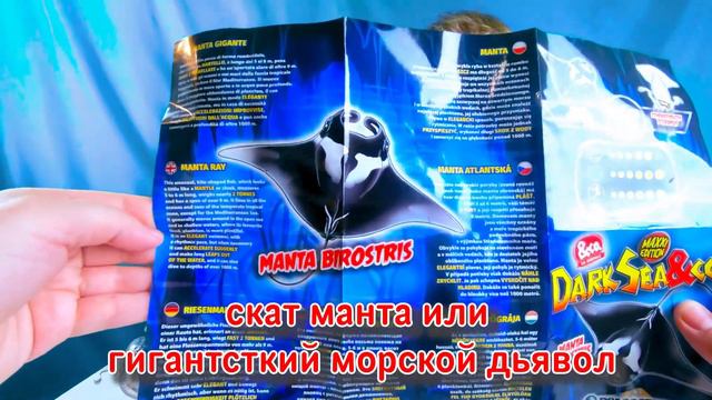 Дети играют с МОРСКИМИ ЖИВОТНЫМИ // РАСПАКОВКА для детей // Игрушки ДЕ АГОСТИНИ бестии смотреть онлайн