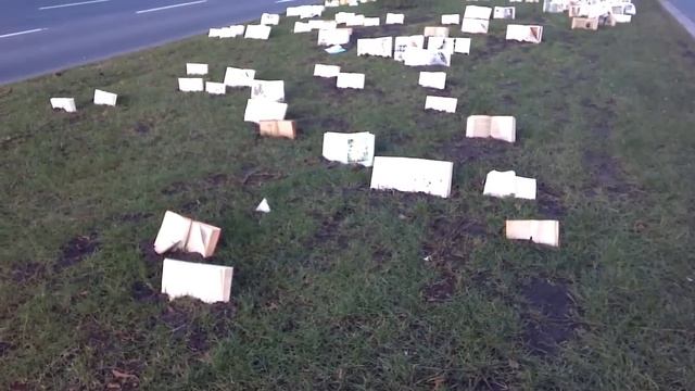 ЖИЗНЬ В ГЕРМАНИИ для русских. Жизнь в Германии или Крот по имени Гертруда смотреть онлайн