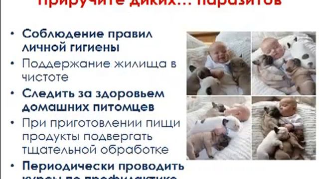 Ожирение Стройнеем с DETA приборами смотреть онлайн