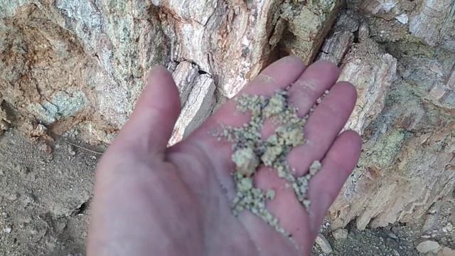Галина Байкальская залегает вертикально смотреть онлайн