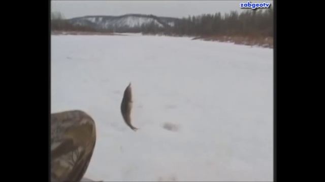 Апрельская рыбалка на Витиме. Часть 3. Рыбалка. смотреть онлайн