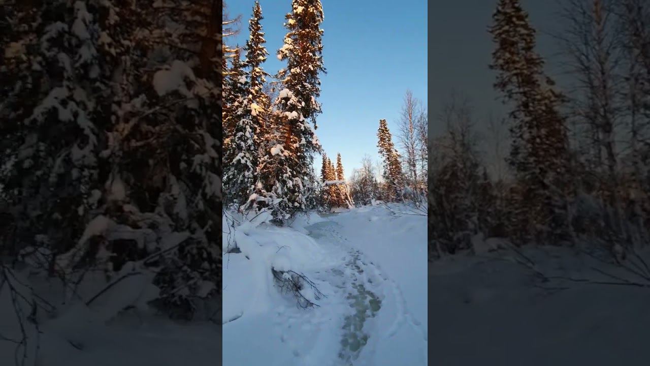 Таёжный ручей смотреть онлайн