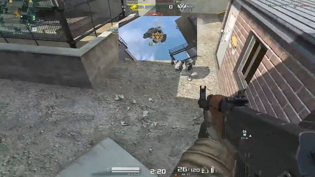 [AVA Dog Tag] taZ смотреть онлайн