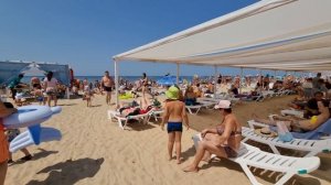 ПУГАЮЩАЯ ДЕЙСТВИТЕЛЬНОСТЬ - БЛАГОУСТРОИЛИ ПЛЯЖ #АНАПА - АКВАМАРИН ул СВЕТЛАЯ в ВИТЯЗЕВО