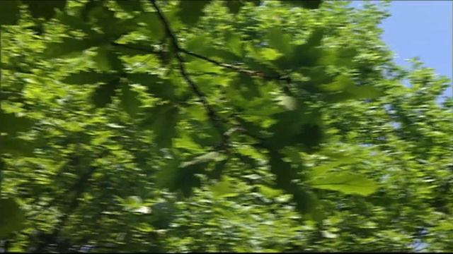 Берегите уши. Шум в большом городе. Тугоухость. Уши и наушники смотреть онлайн