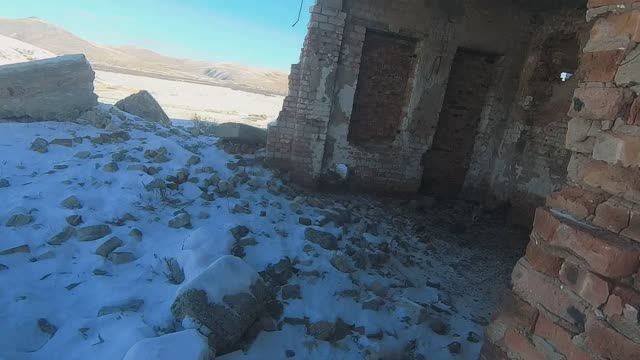 Охота на зайца зимой среди руин.Февраль 2024 год. Добыл два зайца.