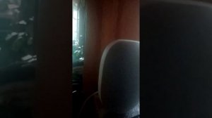 Маруся умная колонка