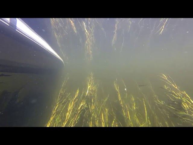 Сплав по реке Тихая Сосна 14 07 2018 смотреть онлайн