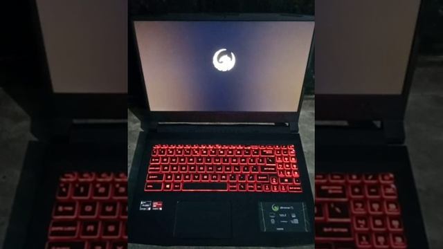 Booting up MSI Bravo 15 смотреть онлайн