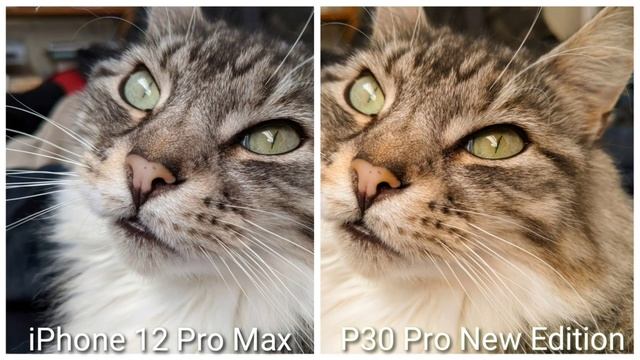 iPhone 12 Pro Max VS Huawei P30 Pro New Edition Camera Test смотреть онлайн