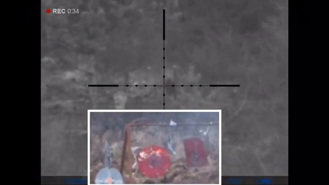 Дигитален прицел Puslar Digisight Ultra N455 LRF и карабина Sabatti STR308 смотреть онлайн