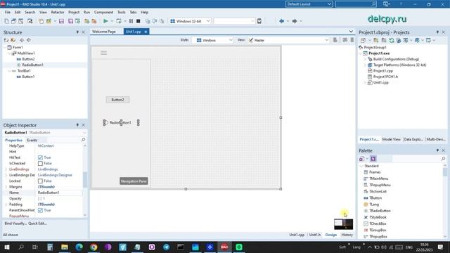 MultiView C++ Builder.