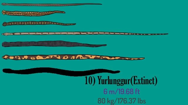 20 Largest Snakes ll Living and Extinct смотреть онлайн