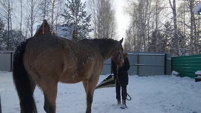 Домашнее задание #4 смотреть онлайн