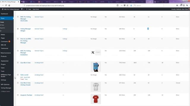 Reset Votes for Single or Multiple Posts | BWL Pro Voting Manager WordPress Plugin смотреть онлайн