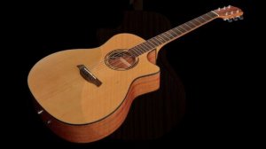 Baton Rouge AR11C/ACE Grand Auditorium