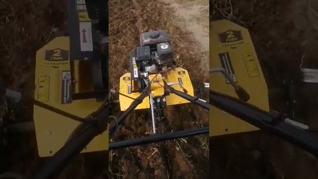 #Осенние спашка #Мотоблок МК-7000Р-10 Huter 70/5/25 смотреть онлайн