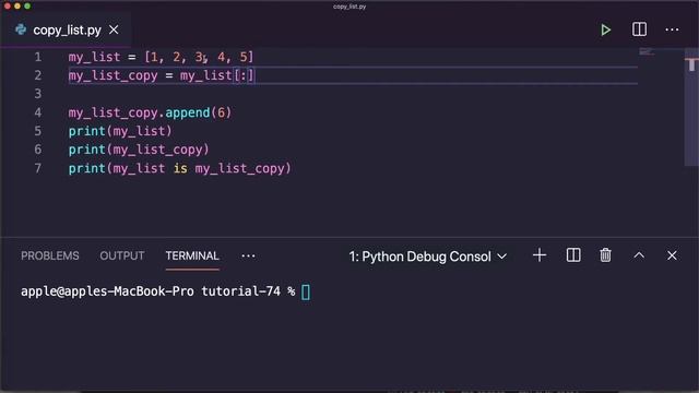 [21] 5 Ways to Copy a List in Python | Python for Beginners смотреть онлайн