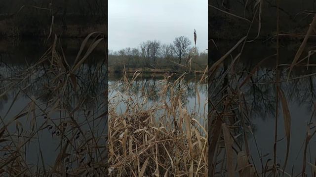 Родниковая вода. смотреть онлайн