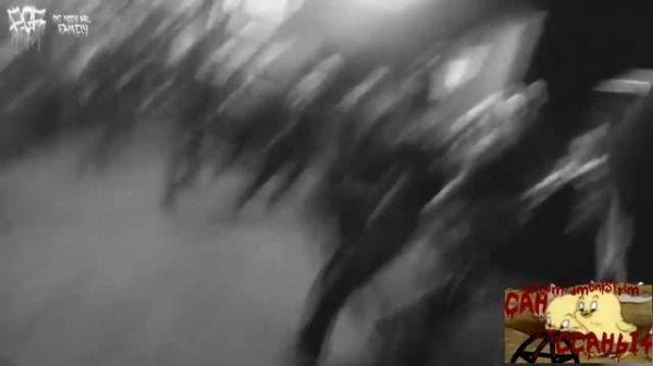 Dirty Monk - MOSH PIT