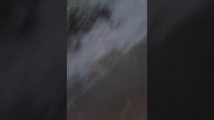 Иду в ДК ДАУРИЮ (г.Краснокаменск)