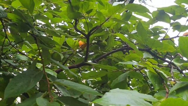 Дизайн и Разработка Веб-сайтов