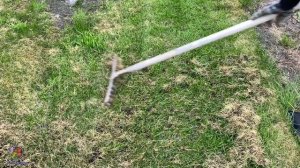 ГАЗОН ВЕСНОЙ.УХОД ЗА ГАЗОНОМ ВЕСНОЙ.САМЫЕ ВАЖНЫЕ РАБОТЫ НА ГАЗОНЕ. САД и ОГОРОД.