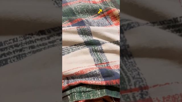 Рыжий жук смотреть онлайн