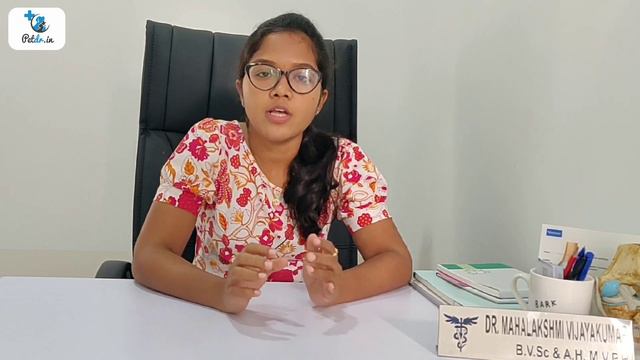 Silent Heat in Dogs - Treatment, Remedies and Prevention| Pet Doctor Dr.Mahalakshmi смотреть онлайн