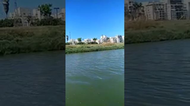 ДЕНЬ НЕЗАВИСИМОСТИ катаемся на лодочке парк а-Яркон речка (часть 3)/Израиль/прогулки/путешествия смотреть онлайн