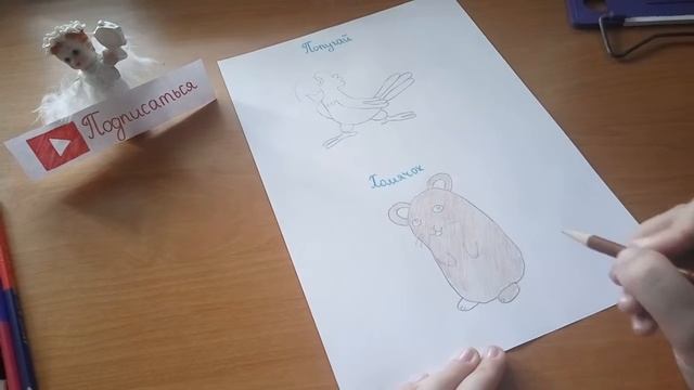 Кого лучше завести джункарского хомяка или волнистого попугая? смотреть онлайн