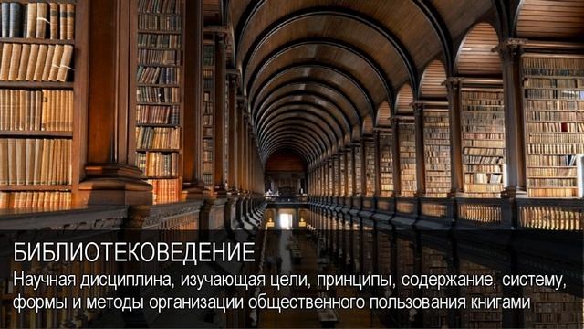 Библиотековедение. Толковый Видеословарь русского языка смотреть онлайн