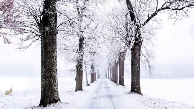 Dream - Snow | Relaxing Nature, Classical Bright Music | Waltz of the Flowers by Tchaikovsky HD смотреть онлайн
