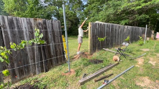 Как я восстановил деревянный забор на границе с соседом в США