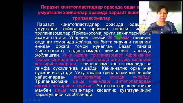 У Т Норбоева Биология асослари Умуртқасизлар билан танишув Протозоология смотреть онлайн